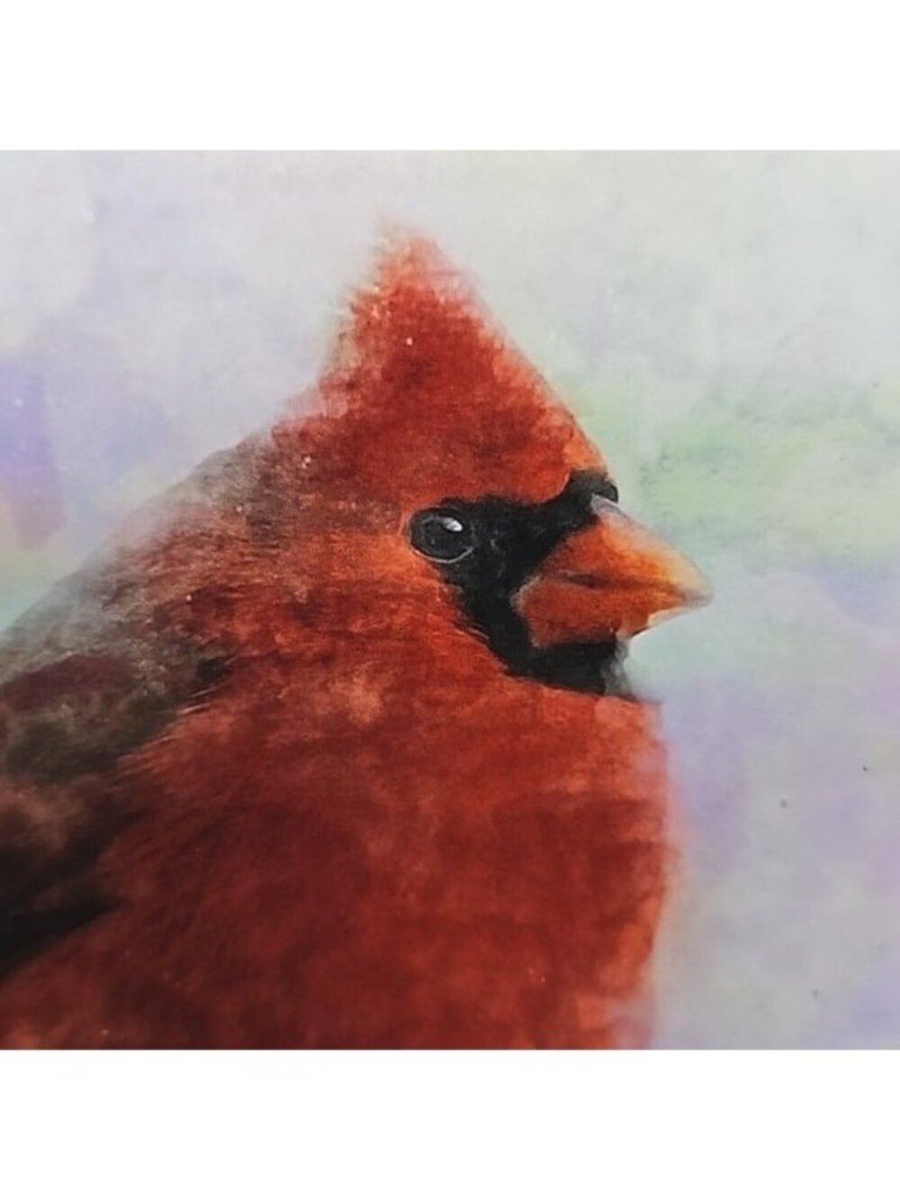 4x6 Northern Red Cardinal Watercolor Illustration Art Painting Print‎